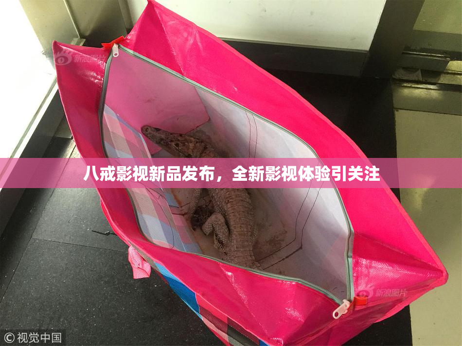 八戒影视新品发布，全新影视体验引关注