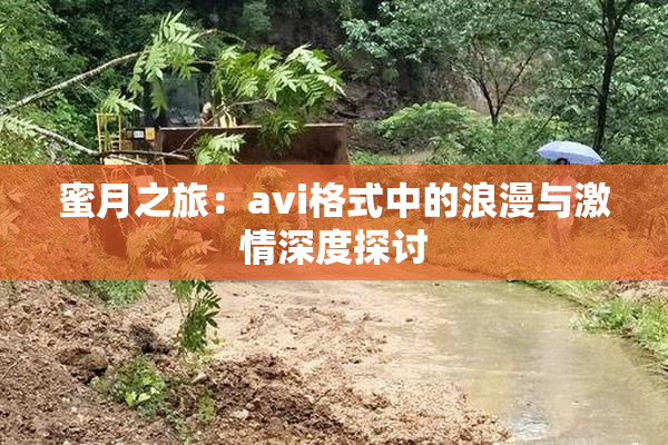蜜月之旅：avi格式中的浪漫与激情深度探讨
