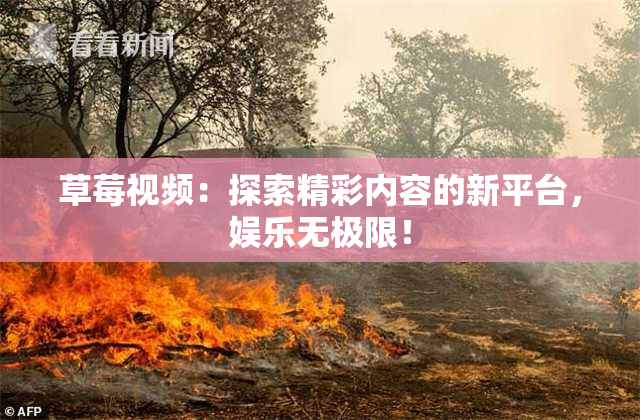 草莓视频：探索精彩内容的新平台，娱乐无极限！