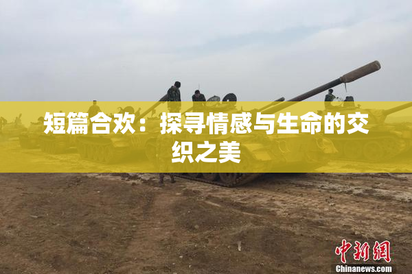 短篇合欢：探寻情感与生命的交织之美