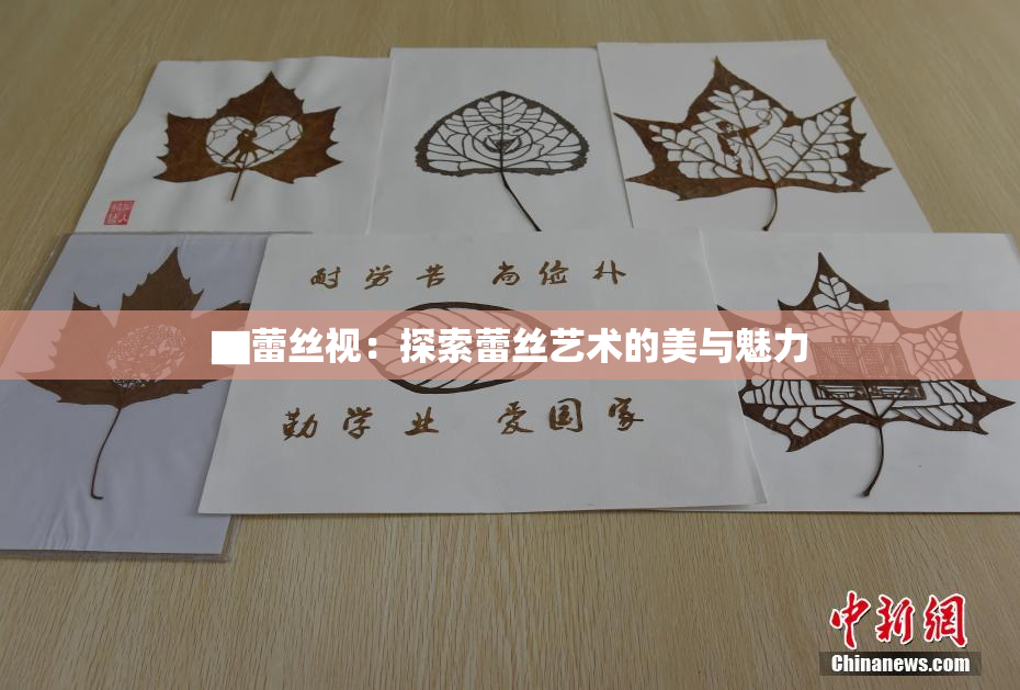 ▇蕾丝视：探索蕾丝艺术的美与魅力