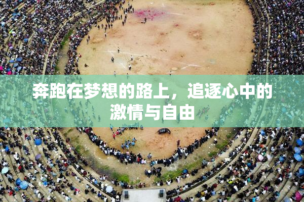 奔跑在梦想的路上，追逐心中的激情与自由