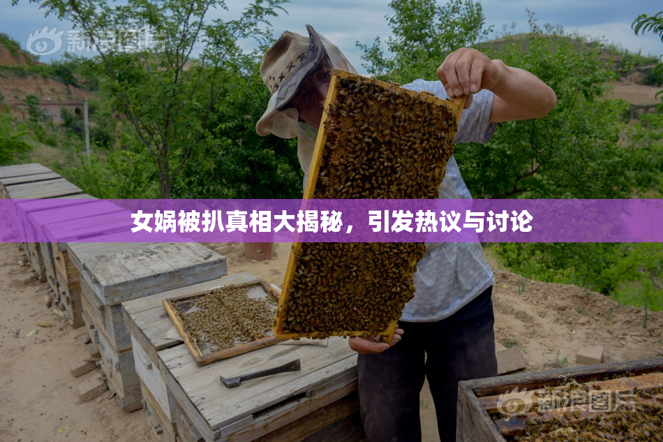 女娲被扒真相大揭秘，引发热议与讨论