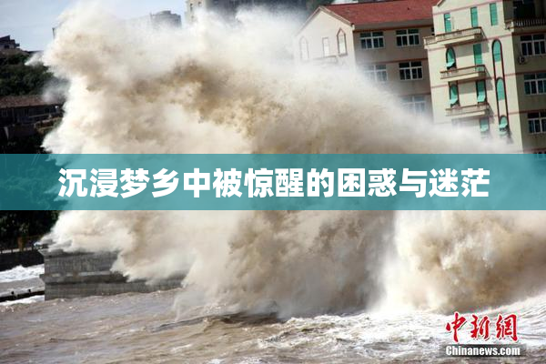 沉浸梦乡中被惊醒的困惑与迷茫