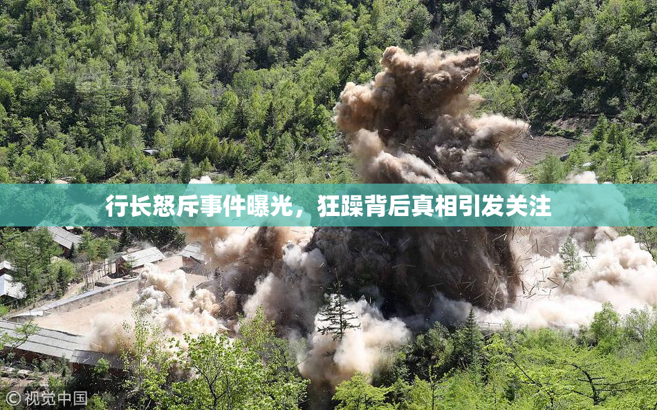 行长怒斥事件曝光，狂躁背后真相引发关注