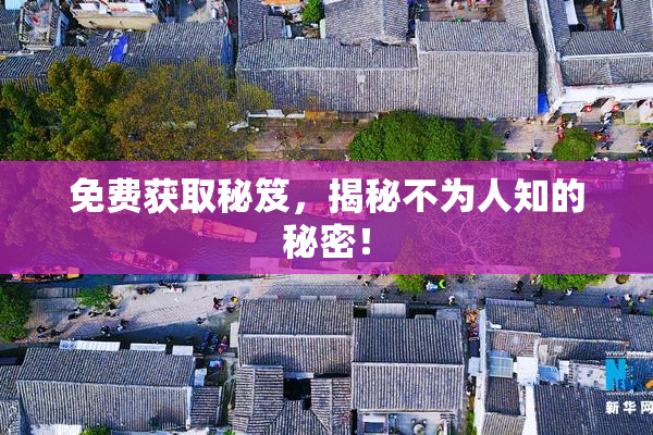 免费获取秘笈，揭秘不为人知的秘密！