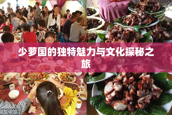 少萝国的独特魅力与文化探秘之旅