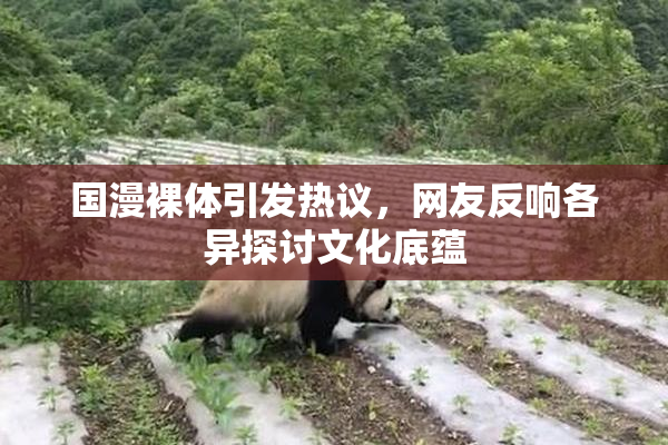 国漫裸体引发热议，网友反响各异探讨文化底蕴