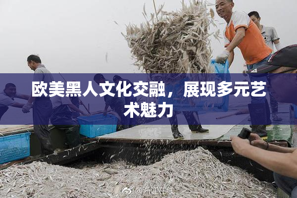 欧美黑人文化交融，展现多元艺术魅力