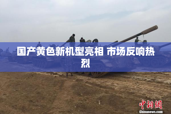 国产黄色新机型亮相 市场反响热烈