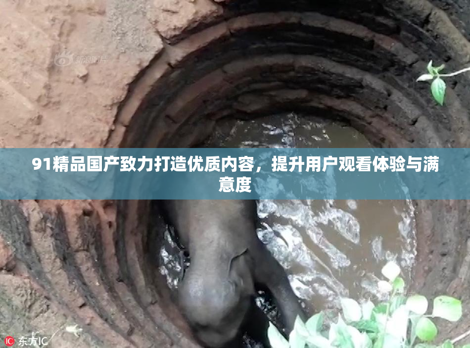 91精品国产致力打造优质内容，提升用户观看体验与满意度