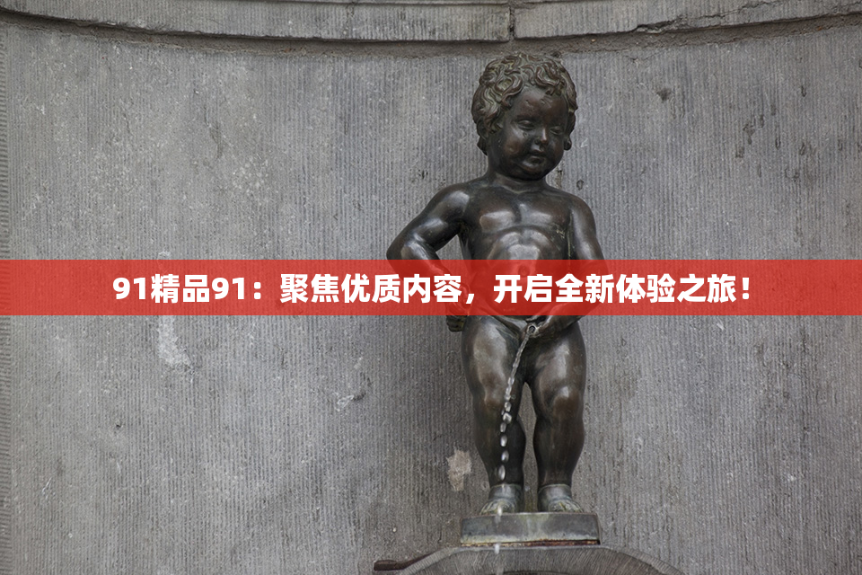 91精品91：聚焦优质内容，开启全新体验之旅！