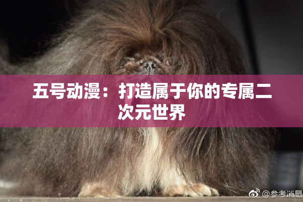 五号动漫：打造属于你的专属二次元世界
