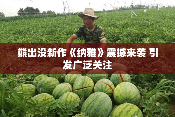 熊出没新作《纳雅》震撼来袭 引发广泛关注