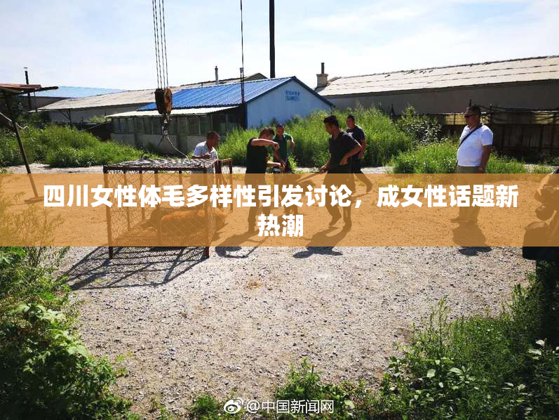四川女性体毛多样性引发讨论，成女性话题新热潮