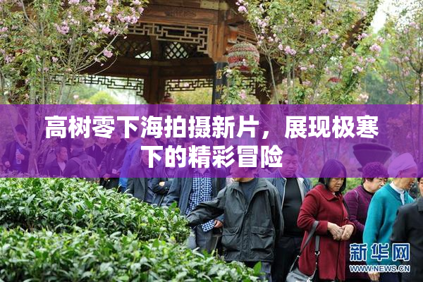高树零下海拍摄新片，展现极寒下的精彩冒险