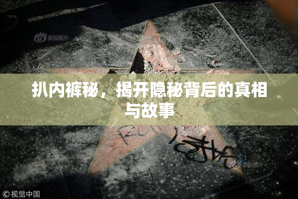 扒内裤秘，揭开隐秘背后的真相与故事