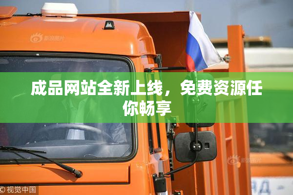 成品网站全新上线，免费资源任你畅享