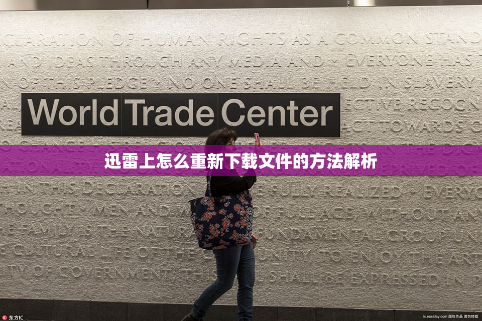 迅雷上怎么重新下载文件的方法解析