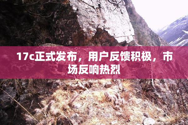 17c正式发布，用户反馈积极，市场反响热烈