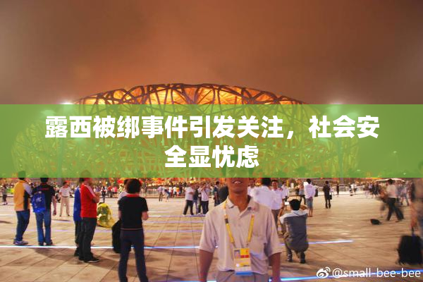 露西被绑事件引发关注，社会安全显忧虑