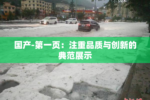 国产-第一页：注重品质与创新的典范展示