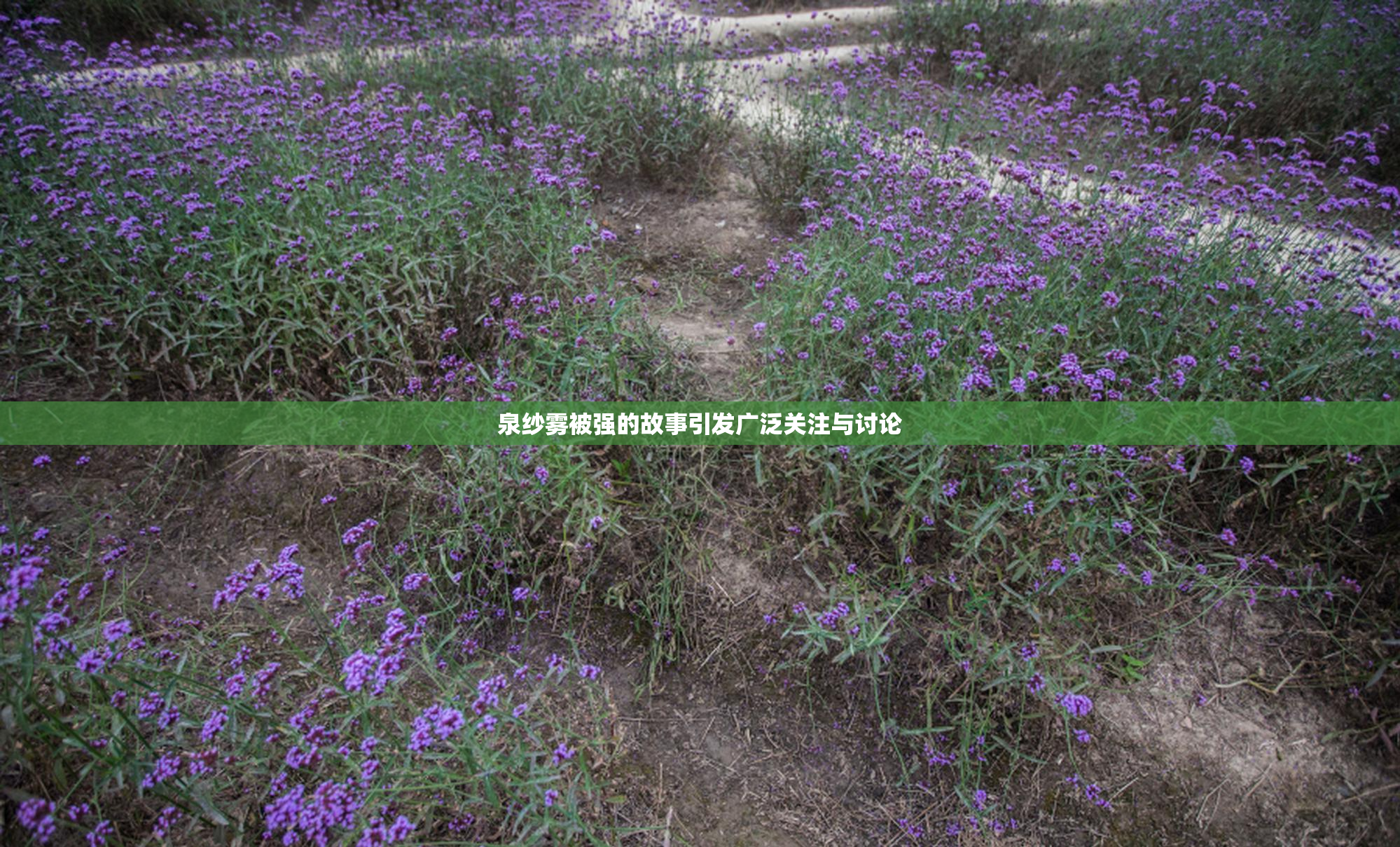 泉纱雾被强的故事引发广泛关注与讨论
