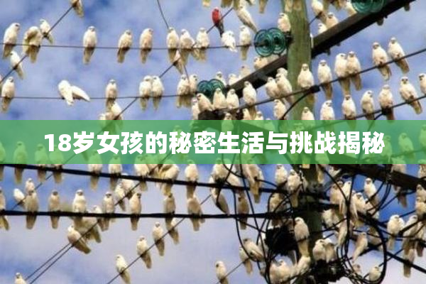 18岁女孩的秘密生活与挑战揭秘