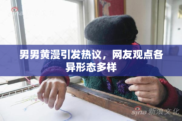男男黄漫引发热议，网友观点各异形态多样