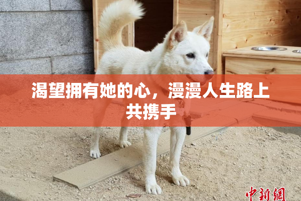 渴望拥有她的心，漫漫人生路上共携手