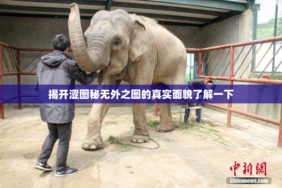 揭开涩图秘无外之图的真实面貌了解一下