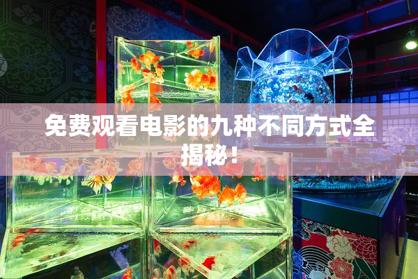 免费观看电影的九种不同方式全揭秘！
