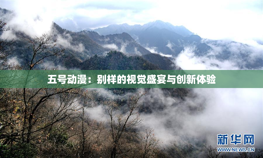 五号动漫：别样的视觉盛宴与创新体验
