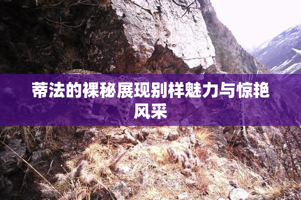 蒂法的裸秘展现别样魅力与惊艳风采