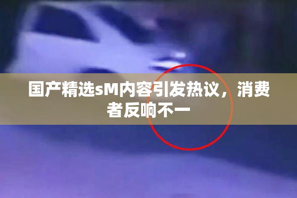 国产精选sM内容引发热议，消费者反响不一
