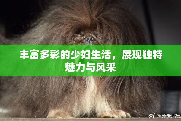 丰富多彩的少妇生活，展现独特魅力与风采