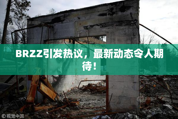 BRZZ引发热议，最新动态令人期待！