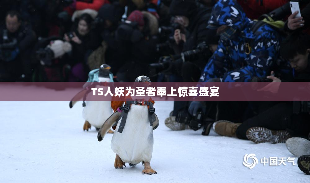 TS人妖为圣者奉上惊喜盛宴