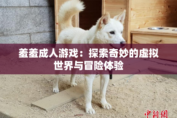 羞羞成人游戏：探索奇妙的虚拟世界与冒险体验