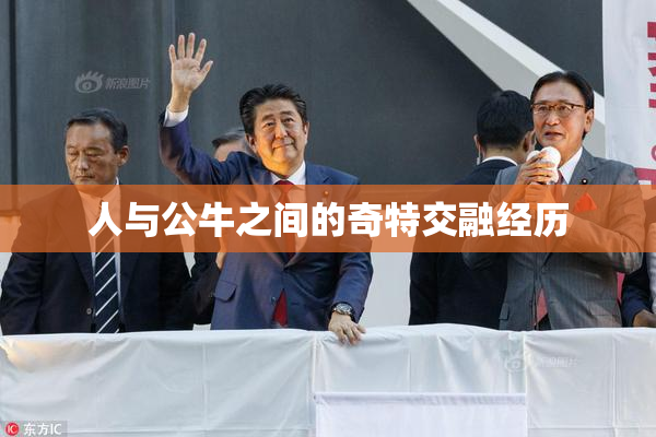 人与公牛之间的奇特交融经历