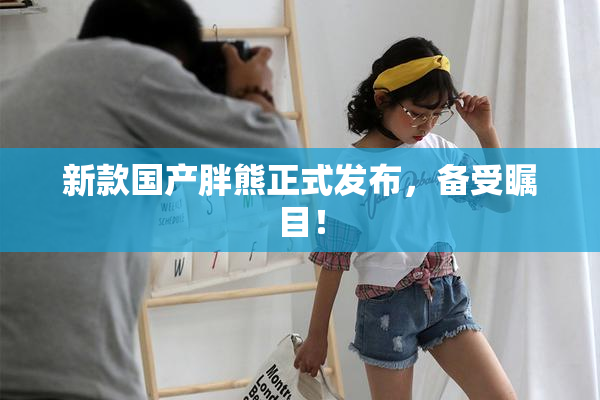 新款国产胖熊正式发布，备受瞩目！