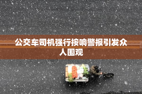 公交车司机强行按响警报引发众人围观