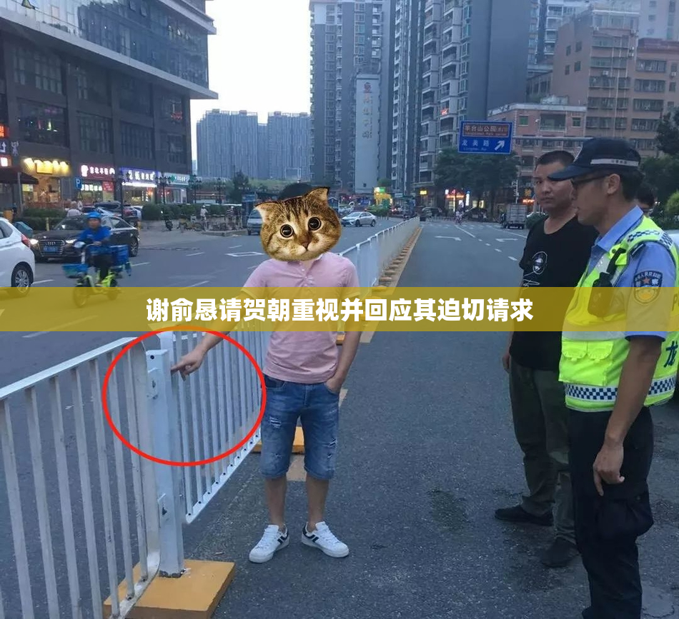 谢俞恳请贺朝重视并回应其迫切请求
