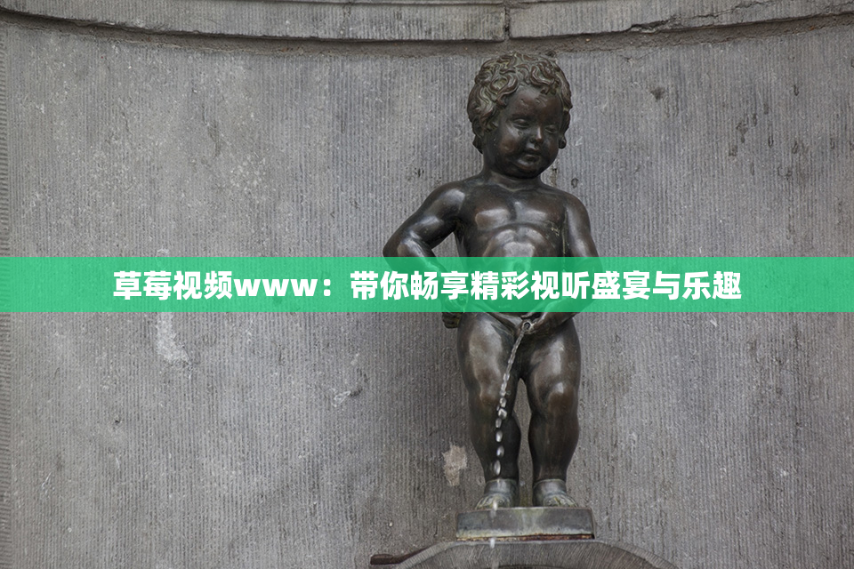 草莓视频www：带你畅享精彩视听盛宴与乐趣