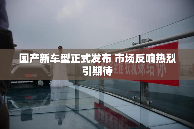 国产新车型正式发布 市场反响热烈引期待