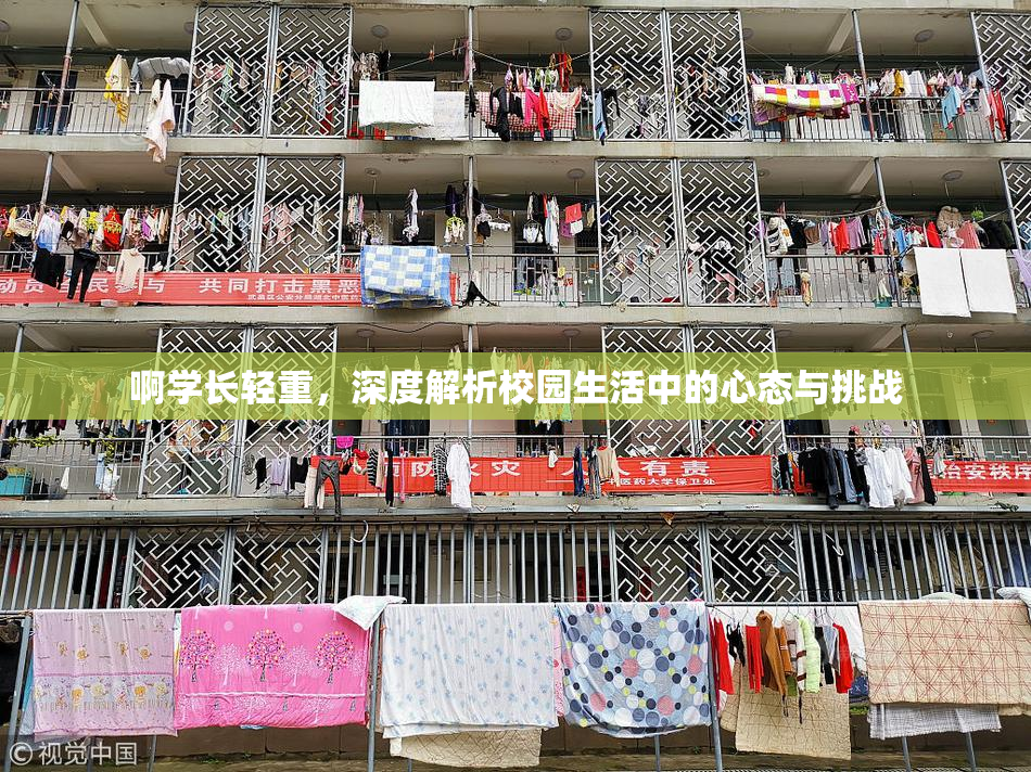 啊学长轻重，深度解析校园生活中的心态与挑战