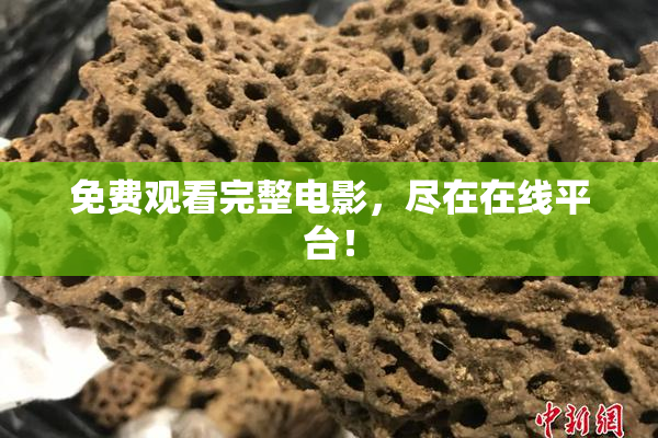 免费观看完整电影，尽在在线平台！