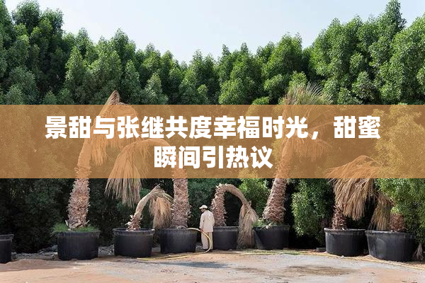 景甜与张继共度幸福时光，甜蜜瞬间引热议