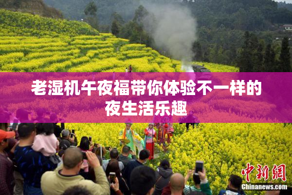 老湿机午夜福带你体验不一样的夜生活乐趣