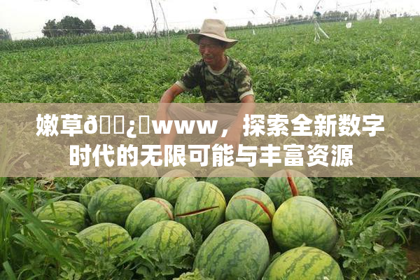 嫩草🌿‌www，探索全新数字时代的无限可能与丰富资源